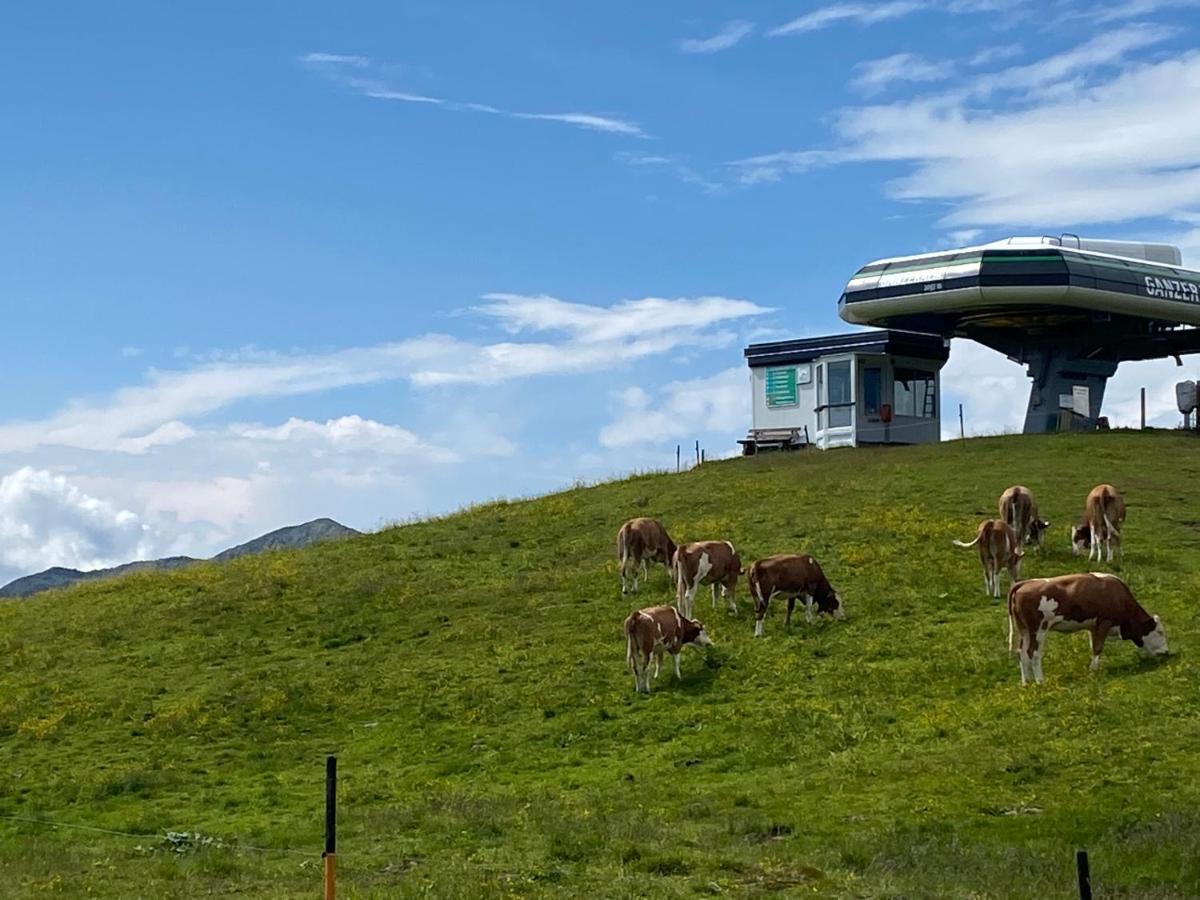 Penthaus Kitzebueheler Alpen Apartment Neukirchen am Großvenediger Exterior photo